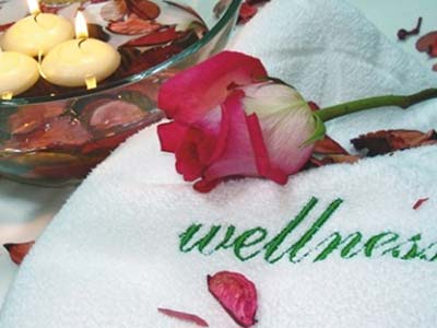 Wellness ponuda